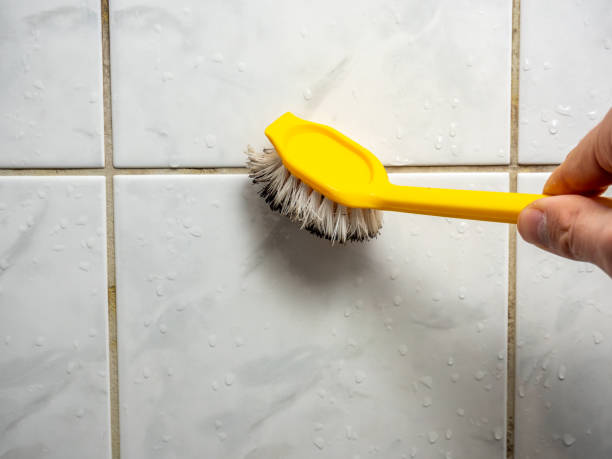 Best Residential Mold Removal  in Mantua, UT