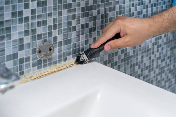 Best Office Mold Removal Services  in Mantua, UT